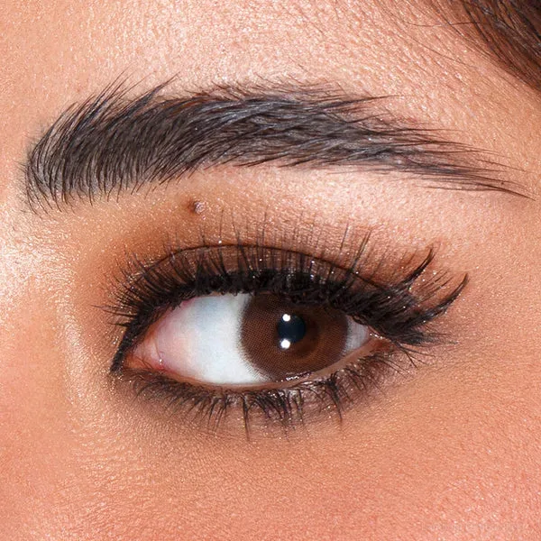 Lentilles de couleur Amara Classic Brown - Amara عدسات ملونة فاس Lamtioui