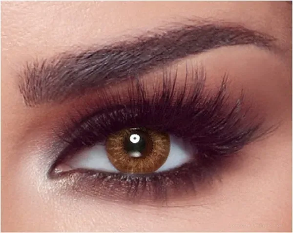 Lentilles de couleur Bella Ash Brown -0.5 Fès Maroc