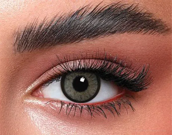 Lentilles de couleur Bella Cool Gray - Bella عدسات ملونة فاس Lamtioui