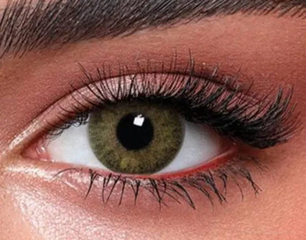 Lentilles de couleur Bella Green Yellow - Bella عدسات ملونة فاس Lamtioui