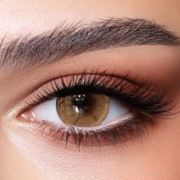 Lentilles de couleur Bella Hazel Beige - عدسات ملونة Bella Lamtioui Optique فاس