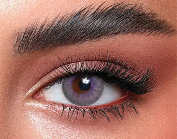 Lentilles de couleur Bella Lavander Gray عدسات ملونة Bella - Opticien-optométriste فاس
