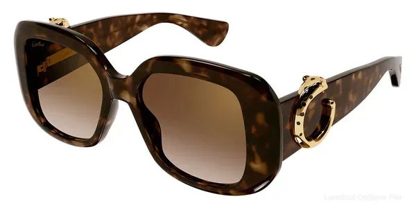 Lunettes de soleil Cartier CT0471S 002 54 - Havana Panthère de Cartier Lunettes de soleil - Opticien-optométriste Lamtioui Fès Maroc