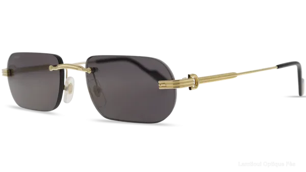 Lunettes de soleil Cartier CT0577S 001 55 - Lamtioui Optique Fès