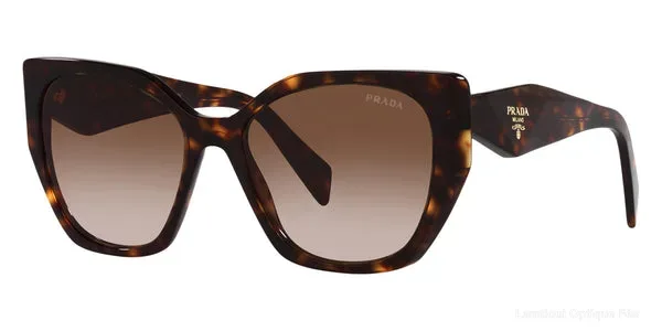 Lunettes de soleil Prada PR 19ZS 2AU6S1 55 - Tortoise Default Title Fès Maroc
