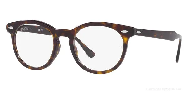 Lunettes de vue Ray-Ban EAGLE EYE - RX5598 Havana - نظارات طبية Lamtioui Fès فاس المغرب