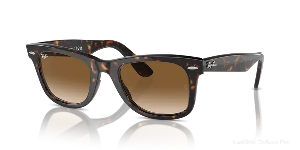 Lunettes de soleil Ray-Ban WAYFARER - RB2140 - نظارات شمسية Lamtioui Fès فاس المغرب