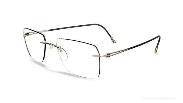 Alternative Lunettes de vue Silhouette 5569/DN 7530 55 Silhouette - Fès Maroc