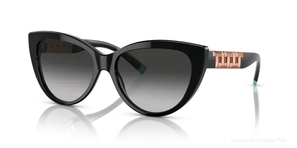 Lunettes de soleil Tiffany TF4196 80013C 56 - نضاضر شمس Tiffany Lamtioui Optique فاس