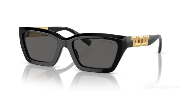 Lunettes de soleil Tiffany TF4213 8001S4 54 - نظارات شمسية Lamtioui Fès فاس المغرب