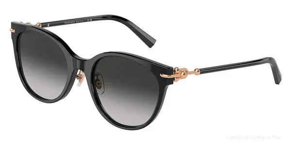 Lunettes de soleil Tiffany TF4223D 80013C 54 - Black نضاضر شمس Tiffany - Opticien-optométriste فاس