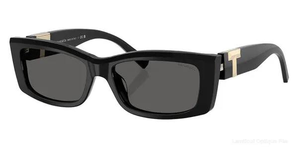Lunettes de soleil Tiffany TF4240U 8001S4 54 - Black نضاضر شمس Tiffany - Opticien-optométriste فاس