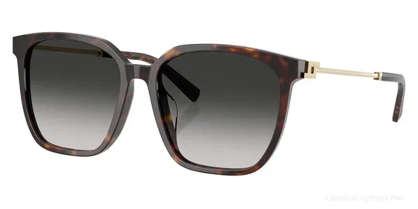 Lunettes de soleil Tiffany TF4244D 80153C 56 - Havana/Pale Gold - Lamtioui Optique Fès