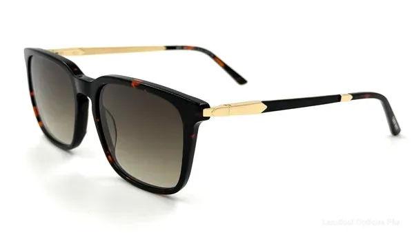 Lunettes de soleil Tom Hart SCH339 C3 - نظارات شمسية Lamtioui Fès فاس المغرب