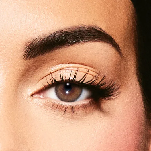 Lentilles de contact couleur Walnut